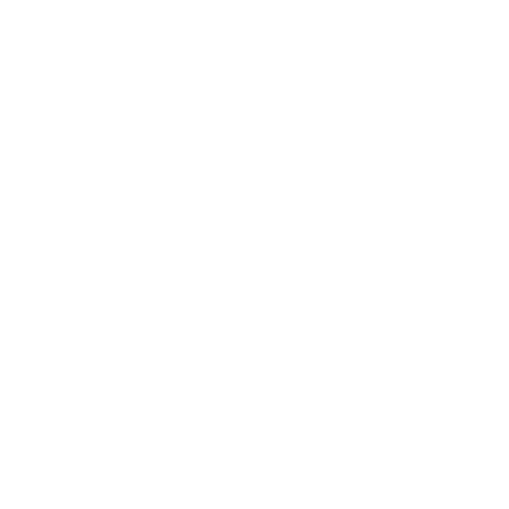 Copy Icon